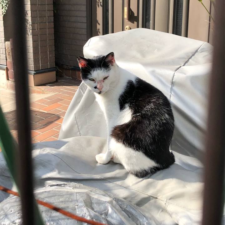 B2c1fa2f 8aa3 4a22 b2d7 d73327d6e555 1575205143996