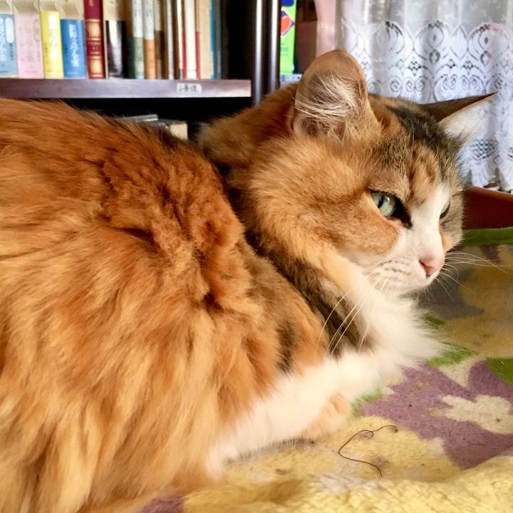 B2c222ba 72fe 49be ae3c 8645e7e43a81 1556833678693