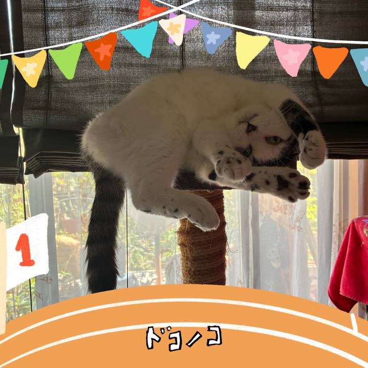 B2c22507 56e5 46ac bf70 56dae1da274d 1762988393849