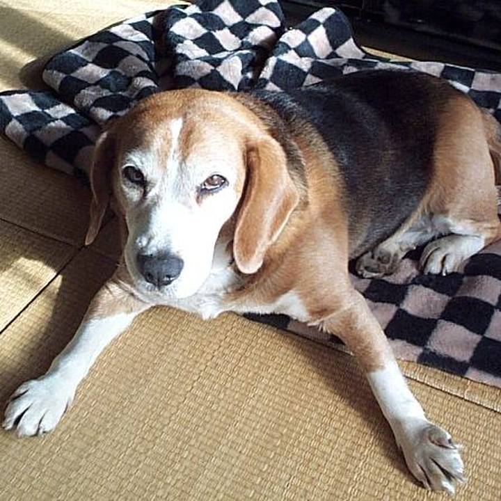 B2c26b4d efb6 4207 9174 f43dca18170e 1637629557478