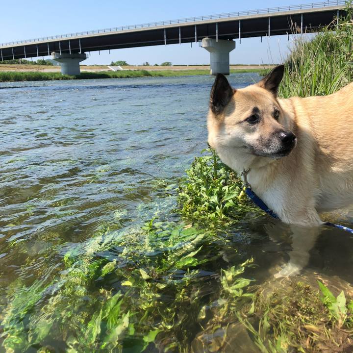 B2c2b2ad fc4f 404a a0cc 0c4b55a9b00c 1621771050751