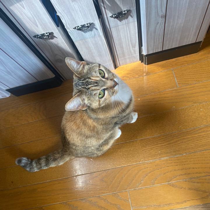 B2c2ed03 ea70 4218 9d17 9358b4fff0b9 1587006242330