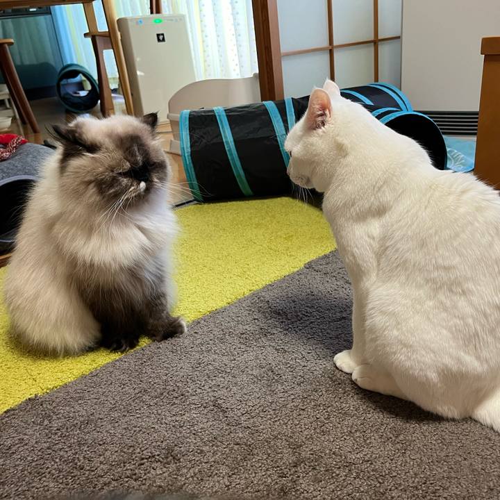 B2c3025a 2c3a 4ba5 98ad 9544025fe80b 1726140165812