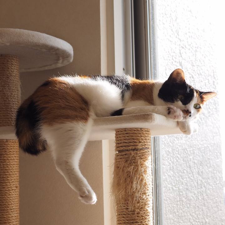 B2c314af 1e33 4e9b 83df c007e346621f 1550966165299