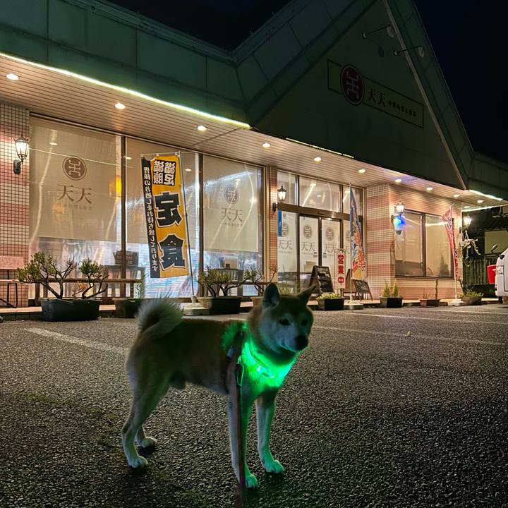 B2c34de0 c132 43a8 b067 e503ea3fd0d7 1719140965761