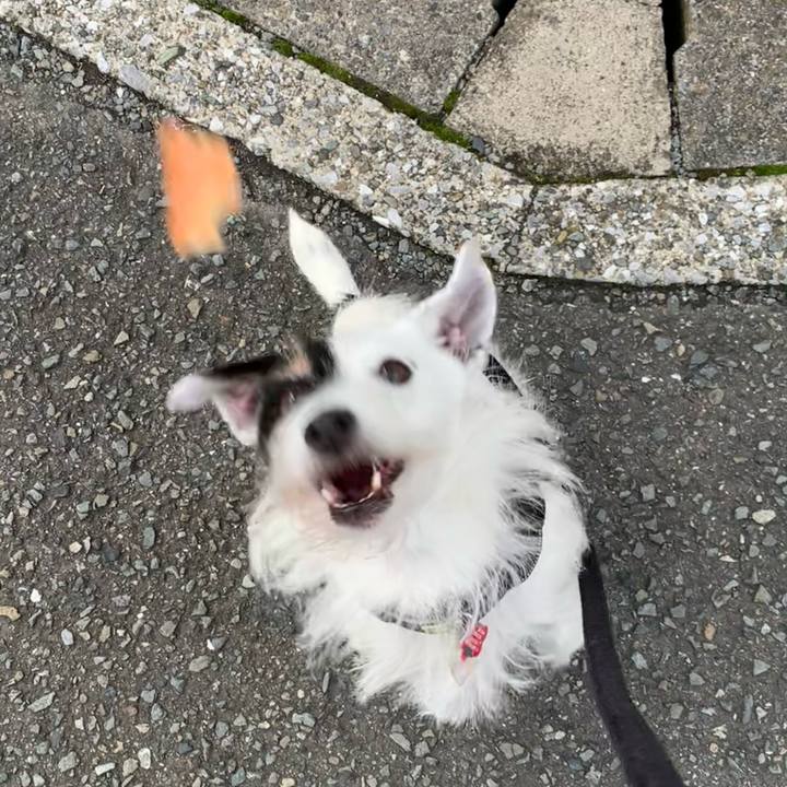 B2c366b0 5328 406a 89c5 75bcc198a9f4 1700260855341