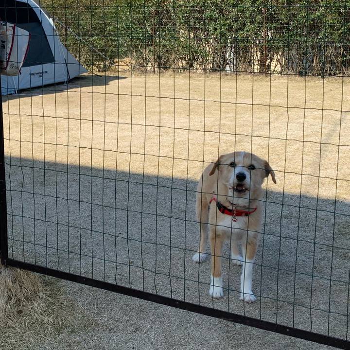 B2c37b9b acf2 4edb 8bcf 2430a4aa479e 1649054809082