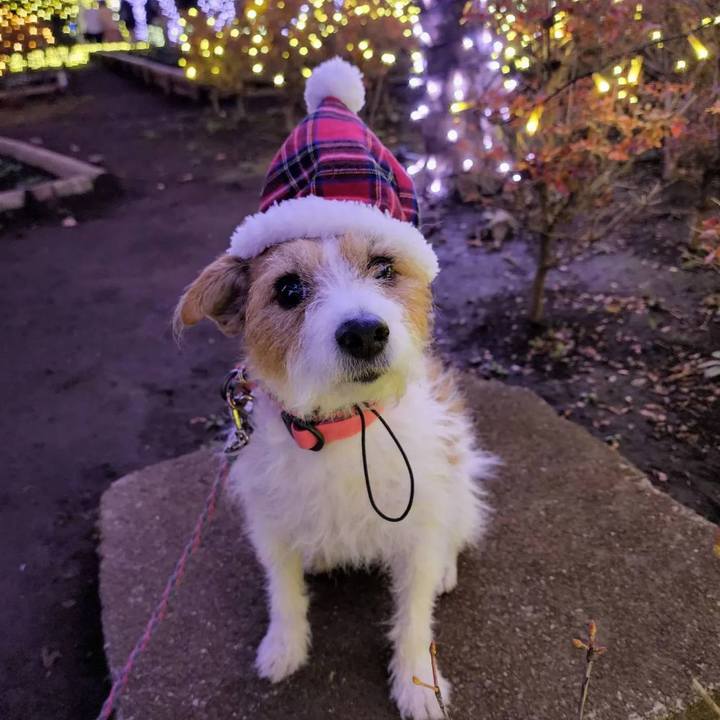 B2c38b21 e15f 4c4a a9a2 163ba269bfd1 1670818542124