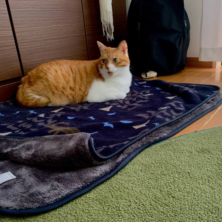 B2c39fbb d9e0 433a a640 798966d4a951 1686456248633