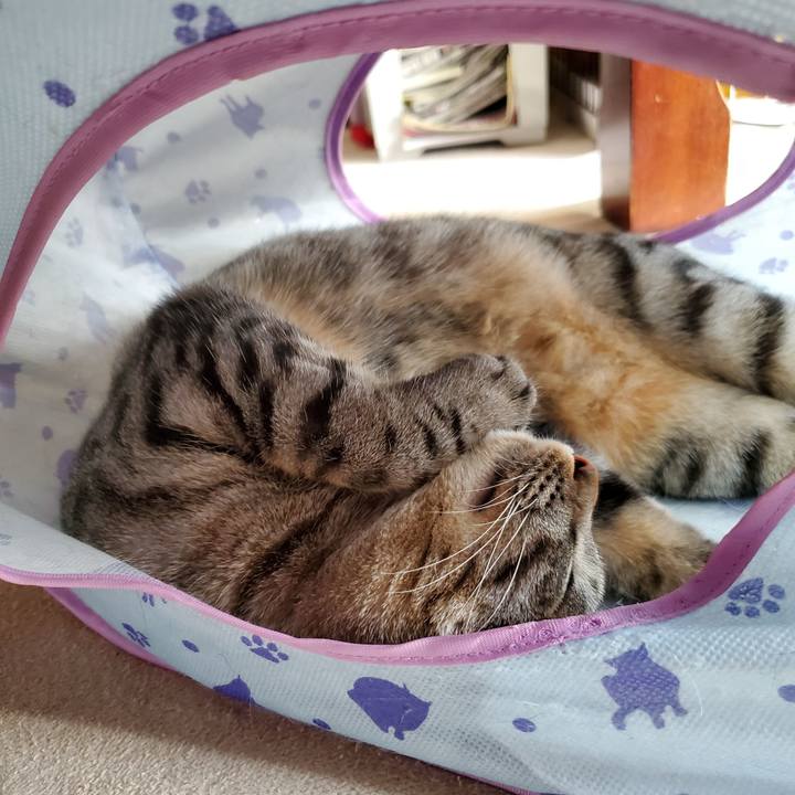 B2c3a504 403c 4b4c 8095 1219473443fa 1704898814938