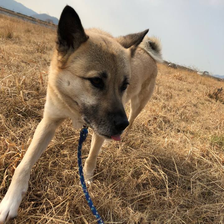 B2c3c18b 9ef7 47d0 8631 48b4fa018f58 1612681560622