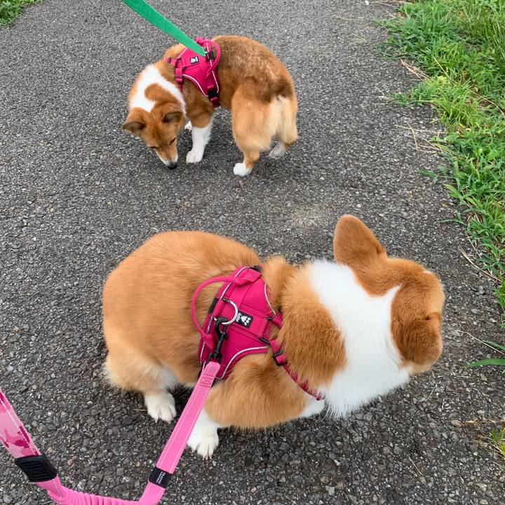 B2c3cb65 e244 4fe1 bc5a 5287df46b3e5 1627169345007