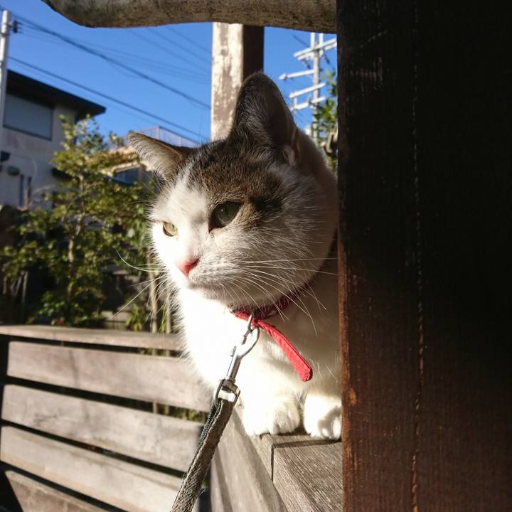 B2c3e44a 8d5d 4796 9edb e11b04c4d595 1546561821064