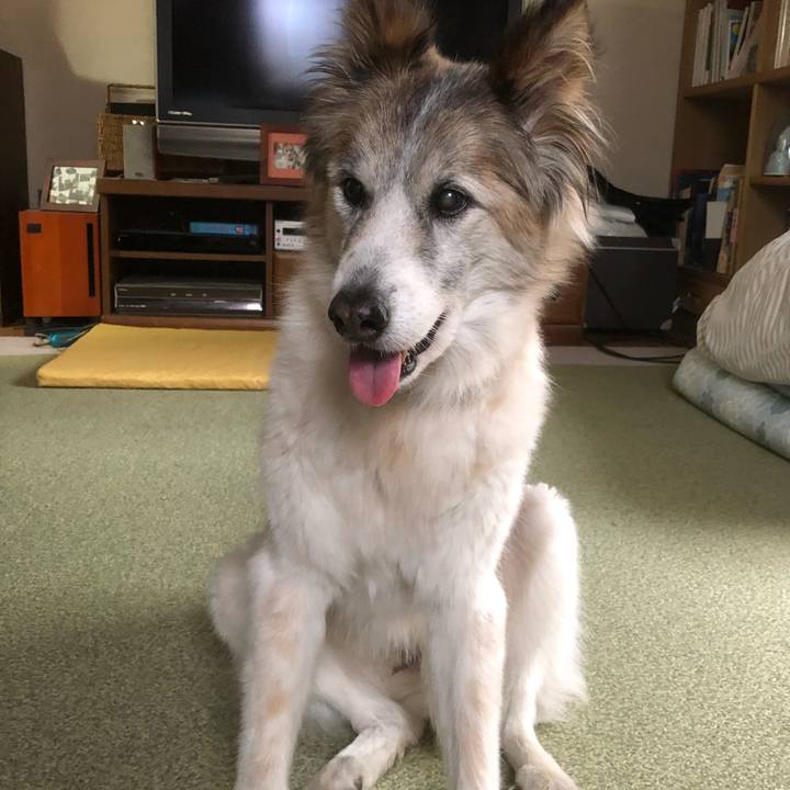 B2c3ed24 de5f 4d4a 9992 ab917d21c0b5 1542592253114