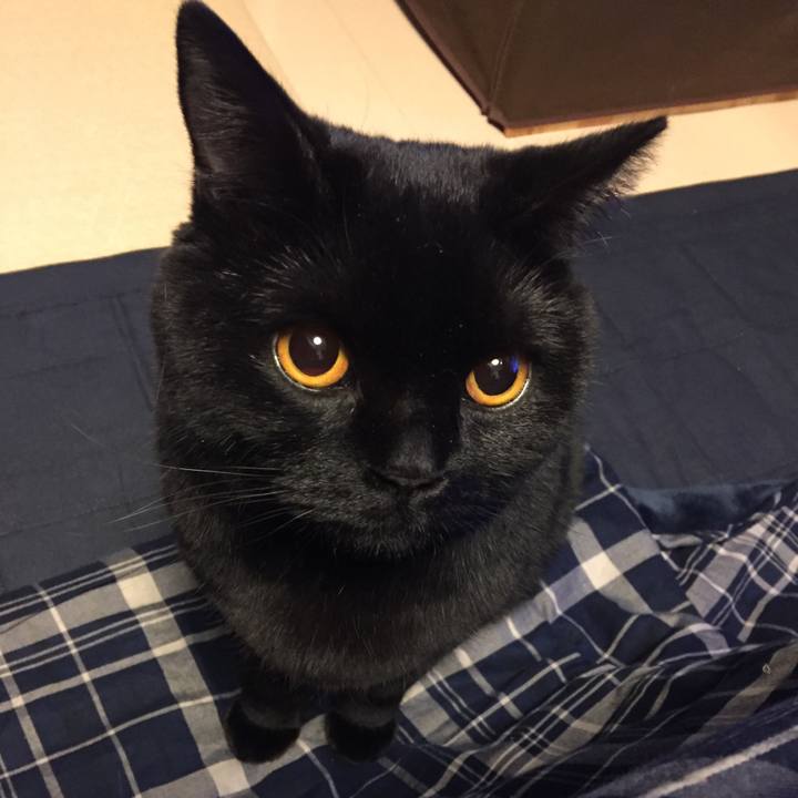 B2c40380 7063 4d49 b14a 147acfeb8a8c 1519218309025