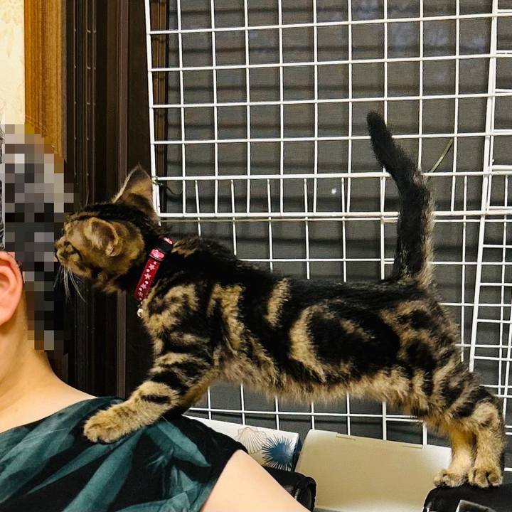 B2c40e79 3ea0 49ea b41f ffabe3f643ef 1724412879041