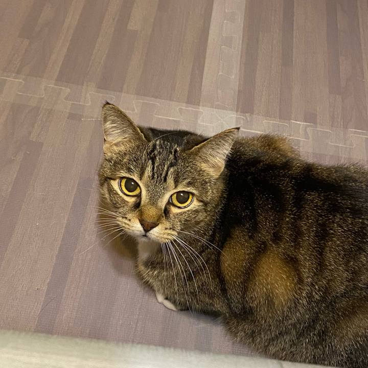 B2c45509 3930 41dc 913a ba3035e4493e 1634762400497