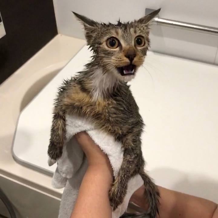 B2c46c46 3021 4fa6 bd18 a3dc94bbb942 1557631253649