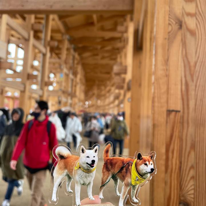 B2c471c8 c181 4892 8344 7890f4e14f70 1744532829216