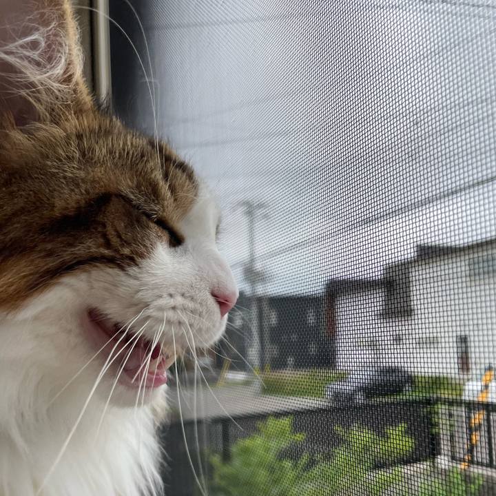 B2c47d7e 9a05 4e26 a476 6eddd15f4b7d 1657267722290