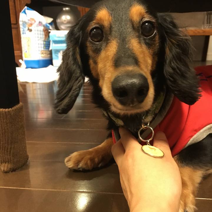 B2c487a2 95a1 40cb b7cb ec757ceb4ff9 1512821015211