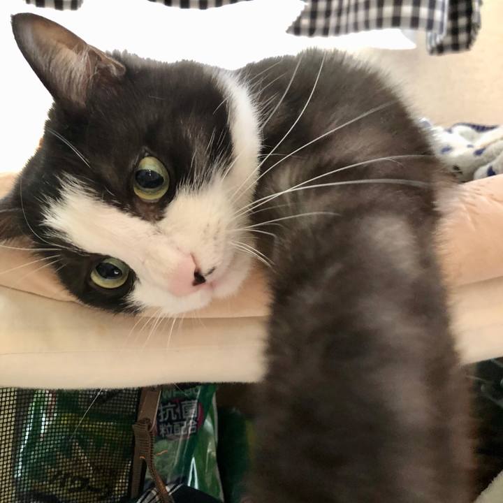 B2c4919d 31d3 46d7 a136 007a779f9143 1582344764357