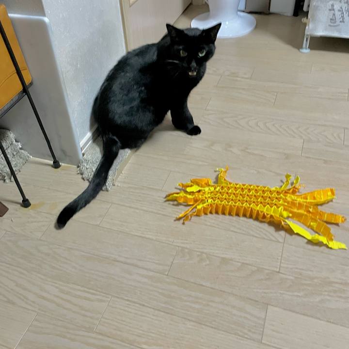 B2c4b60c c4bb 424e b142 35a25c557f50 1699876177580