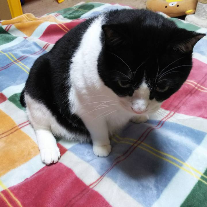 B2c4c748 1199 45c0 a393 4b025b80a15f 1542750595682