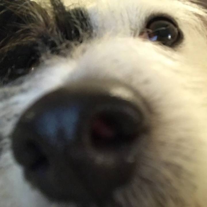 B2c50f5e 28b0 47ed 96bd deb1bd43d815 1513506830783