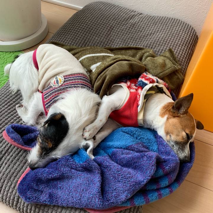 B2c5272e 1aff 4539 ad56 2b4cfc8790d1 1548821481970