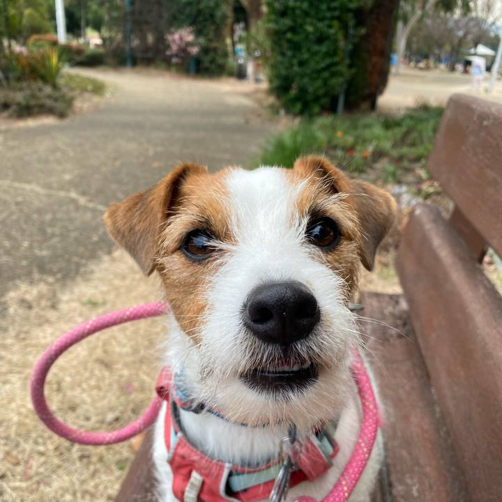 B2c53850 0a04 48a9 b630 d62c327f4f78 1767083407858