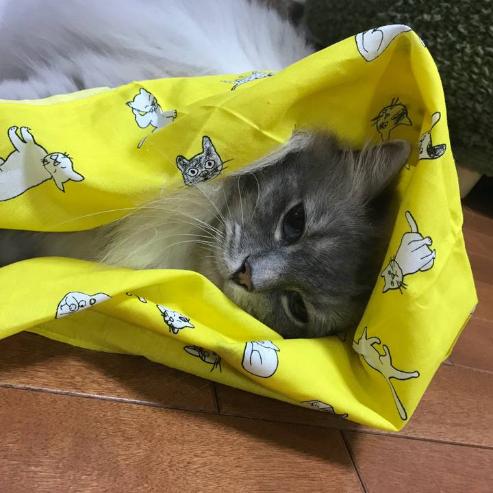 B2c53fdf e0a0 408d 865b a3308b9f6b3a 1530523721678