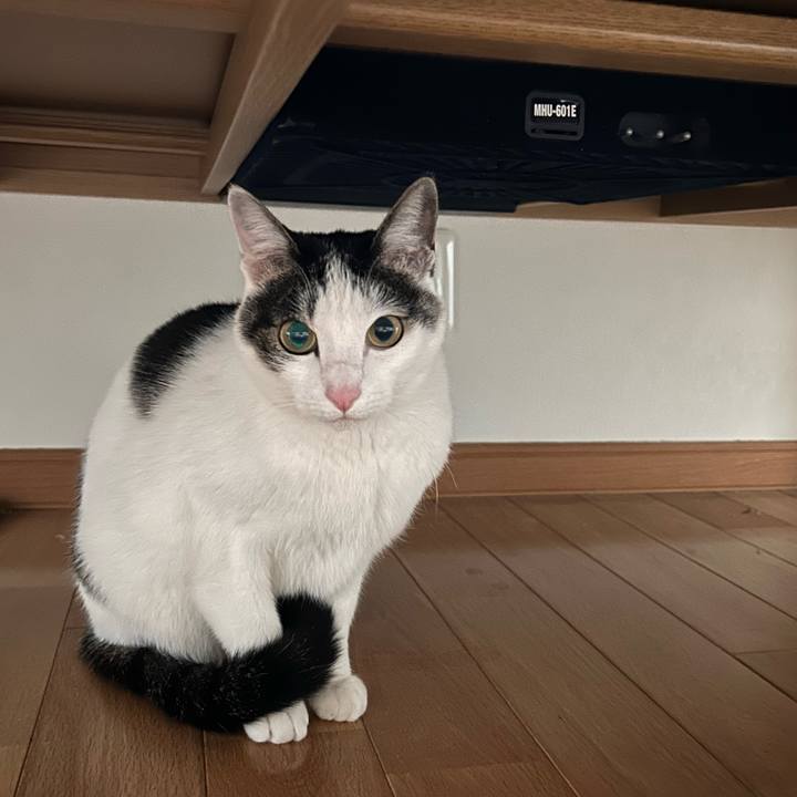 B2c54f59 20d9 4eef 9abb 628d9ad9ac33 1739022621528