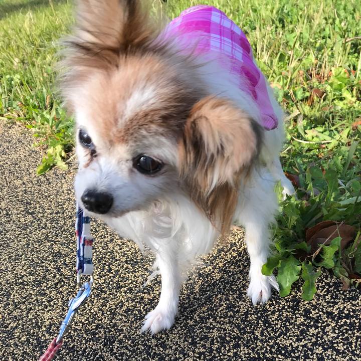 B2c56ded bc2c 4fa5 99f9 7eade5fc4273 1535617578084