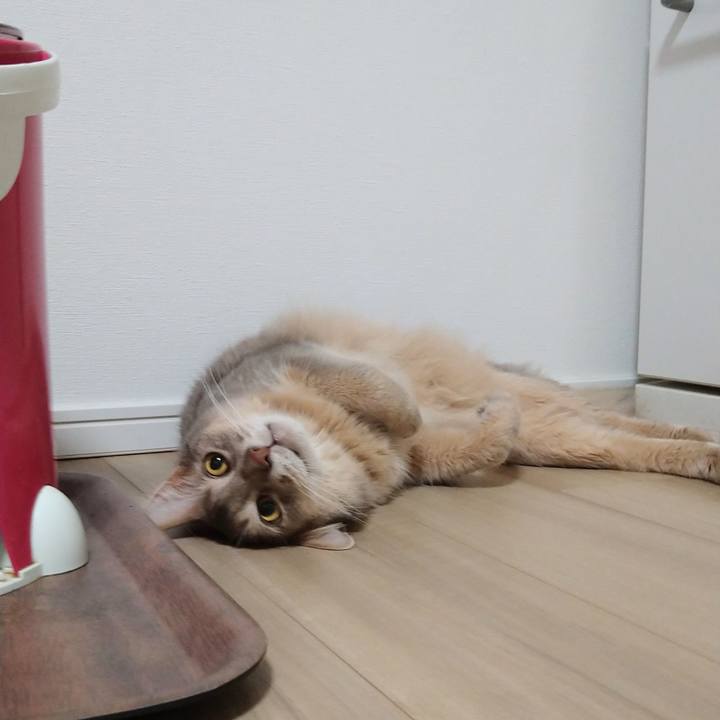 B2c57457 12a1 455d a330 09b3c767aaf5 1625272523919