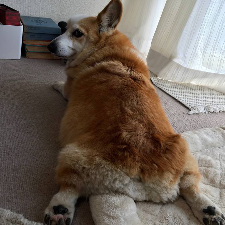 B2c574b9 174e 429c a6ec a278f291ae9b 1651882859987