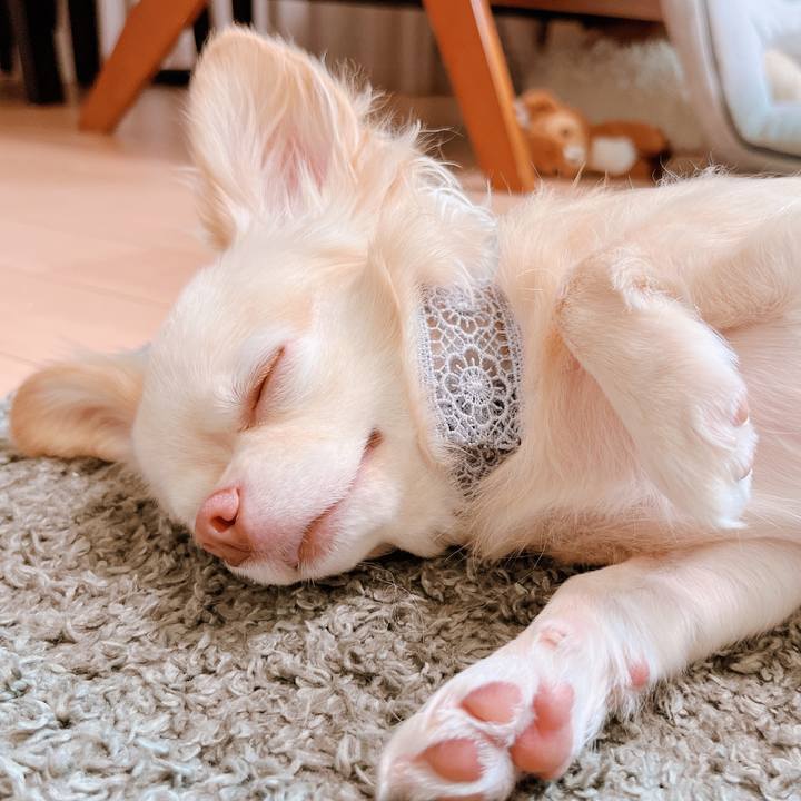 B2c59f24 ada9 4070 a3cc 11143a14164f 1657691858978