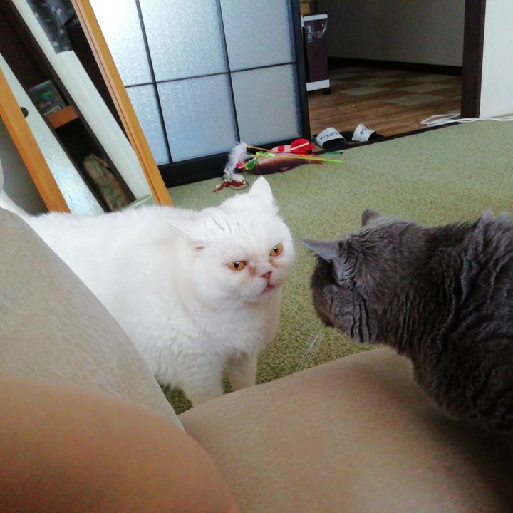 B2c5a173 f338 483b 9757 62dbcfb00a5a 1748750281463