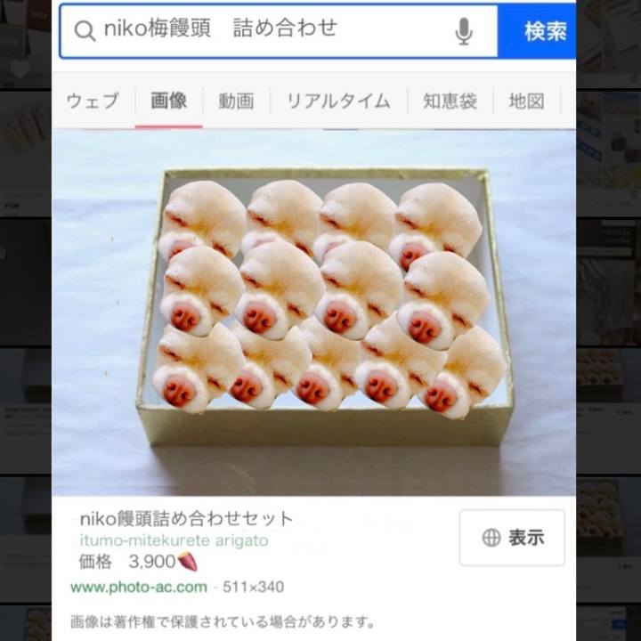 B2c5b37f ca63 4e86 aff1 676fef88c035 1641804245938