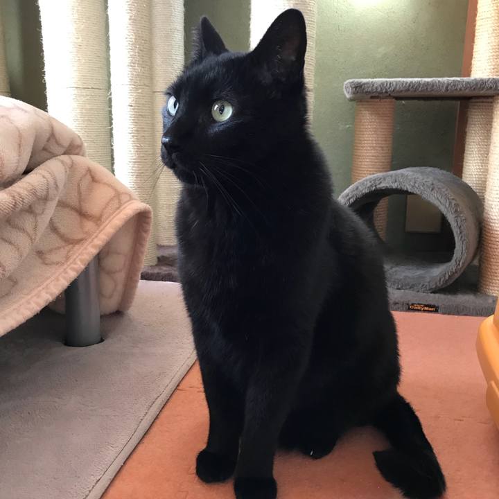 B2c5c60c 2272 494d 9ee3 4214ee4ff80b 1524964941463