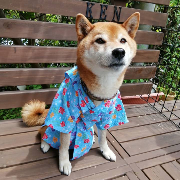 B2c5d0f7 8269 4df9 875a 356e9b12c973 1652240046058