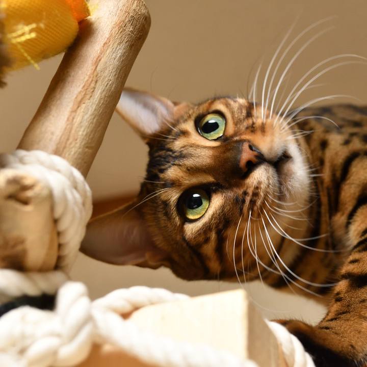 B2c5df24 b3f0 44da bbc2 6a446fcc850d 1510589615504