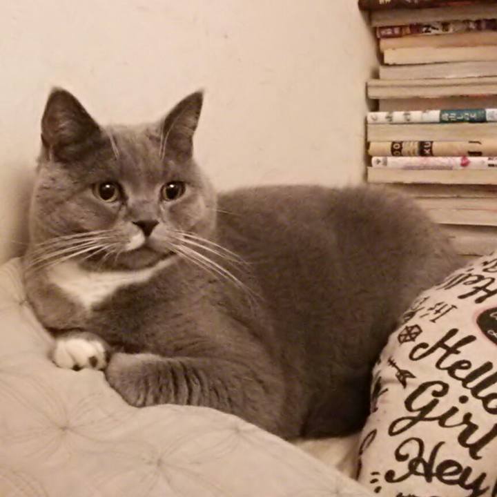 B2c60c91 9f23 4908 a614 3dd3b376c694 1550963483611