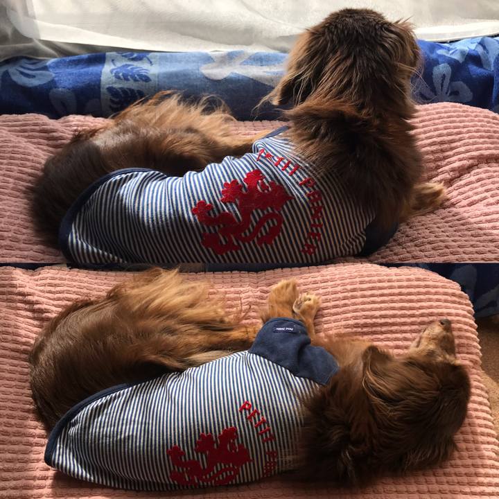 B2c63f6a 8de7 4d76 89a3 88832e424b1e 1578967401313