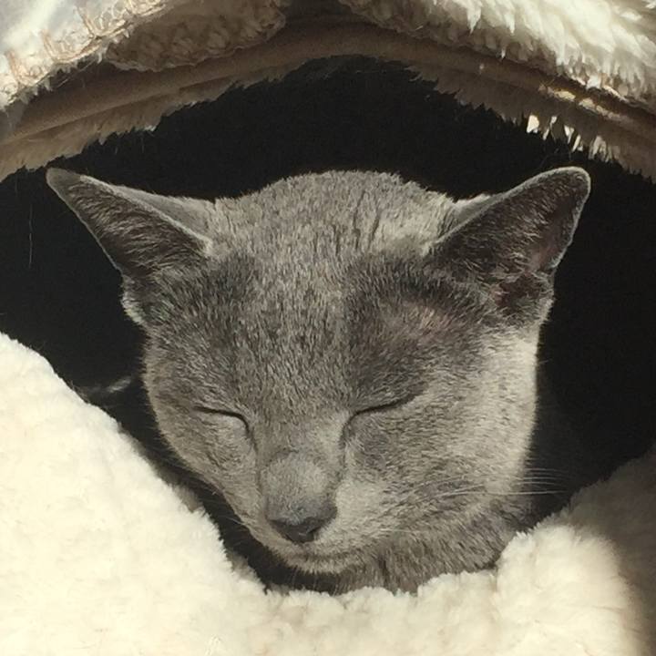 B2c6404f 4bc8 4bb3 bc13 65e52b6d7fb5 1515248038923