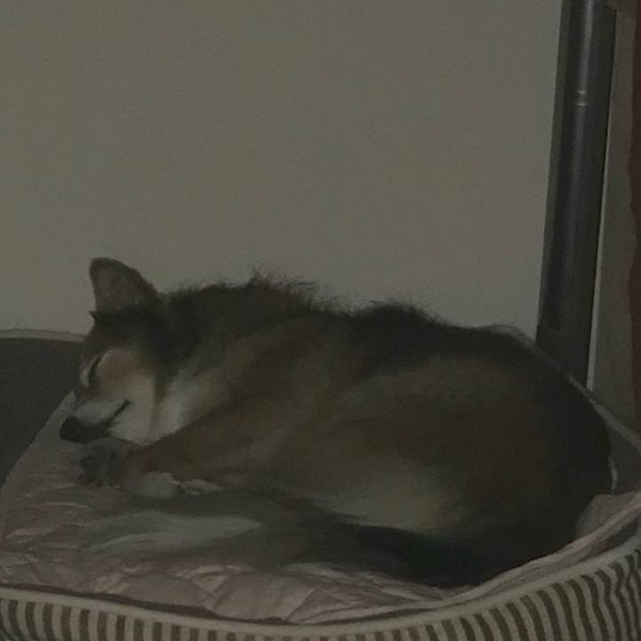 B2c69c77 786c 4517 a8cc 90be02ea8e89 1570811172261