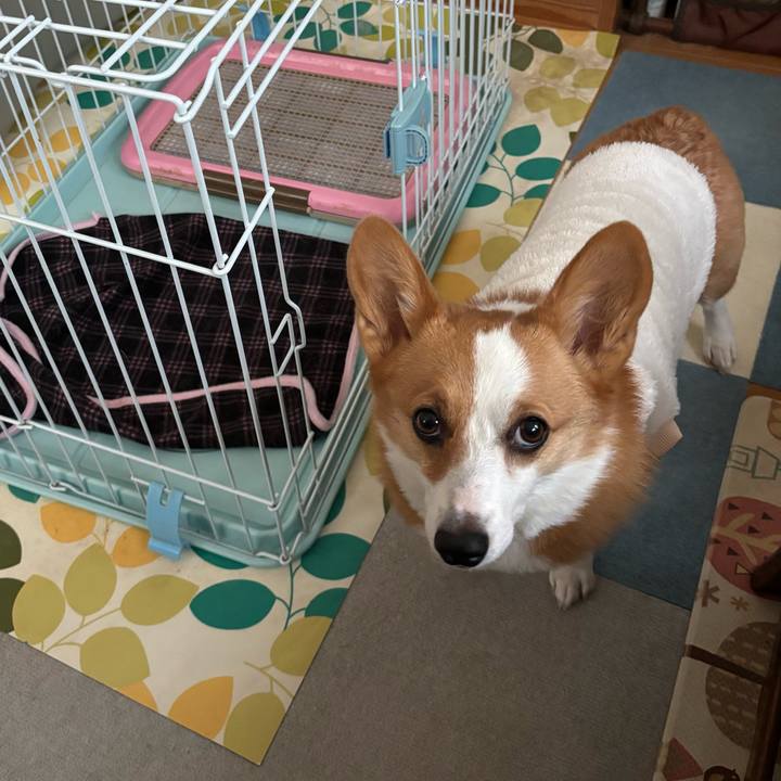 B2c6e548 07c6 4b38 88b6 b1048213fd48 1766820447028