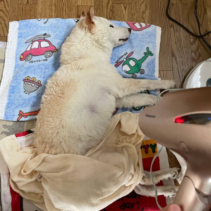 B2c7073e eb30 4611 bf6d 35b21c170520 1657777280947