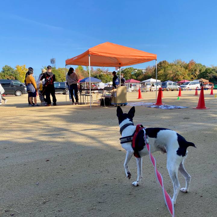 B2c7079d 3443 4f2c 9660 bb955a7737cc 1605418026145