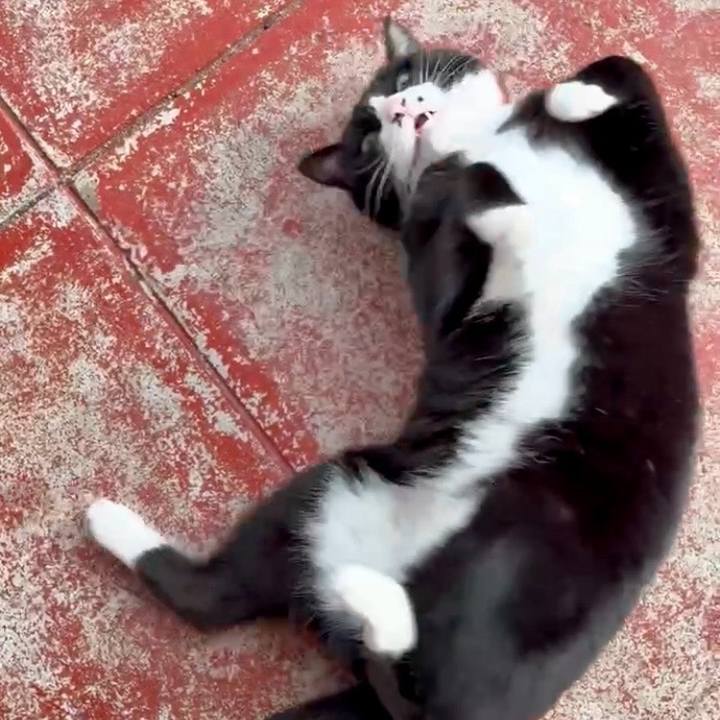 B2c70c0c ab68 461d b14e 06fffd3b277c 1767094286825